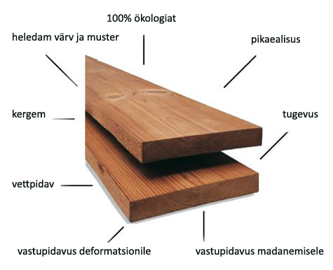 termopuit