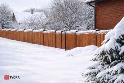 деревянные заборы из термодерева